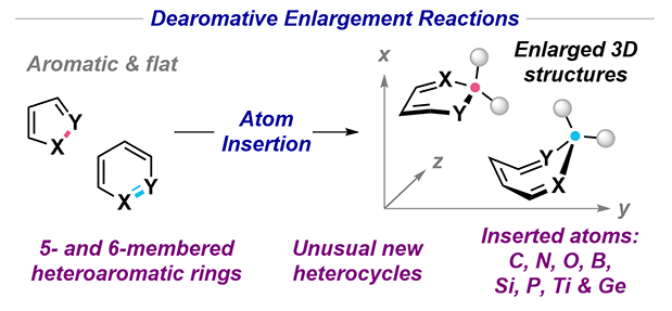 Modern Dearomative Enlargemen