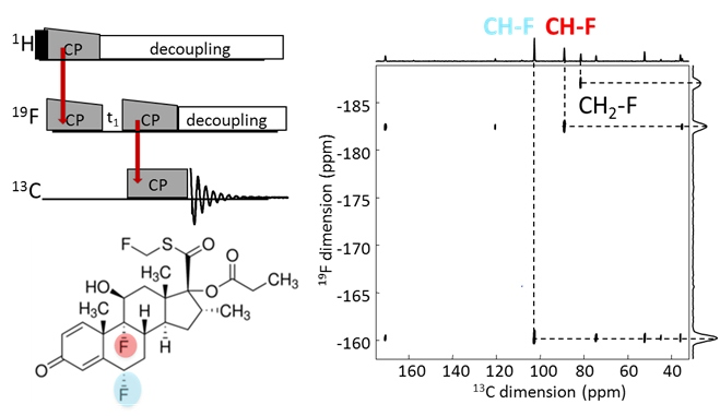 RMN-double CP cascade