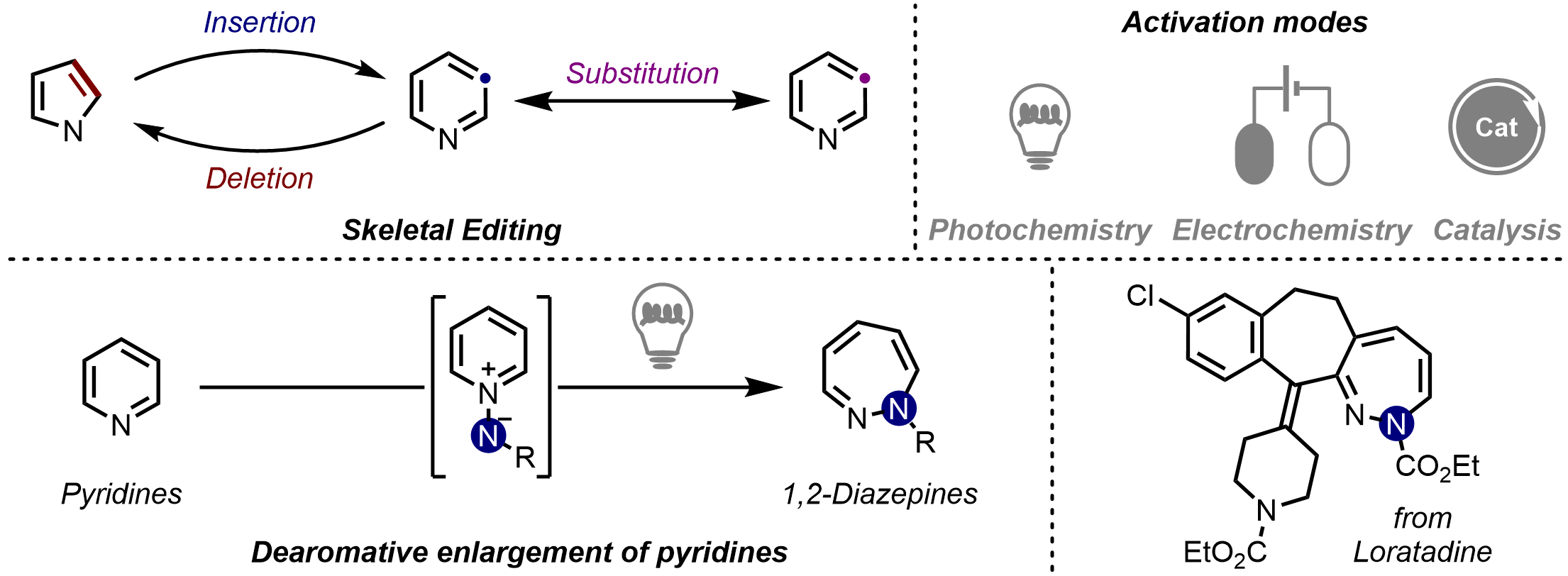 Skeletal editing en